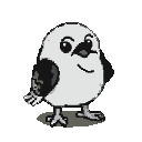A plump, black and white bird with wide eyes and a mischievous grin, one leg extended.