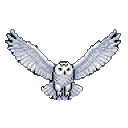 Majestic snowy owl with wings fully extended, piercing yellow eyes, and white plumage with greyish-blue accents, gliding forward.